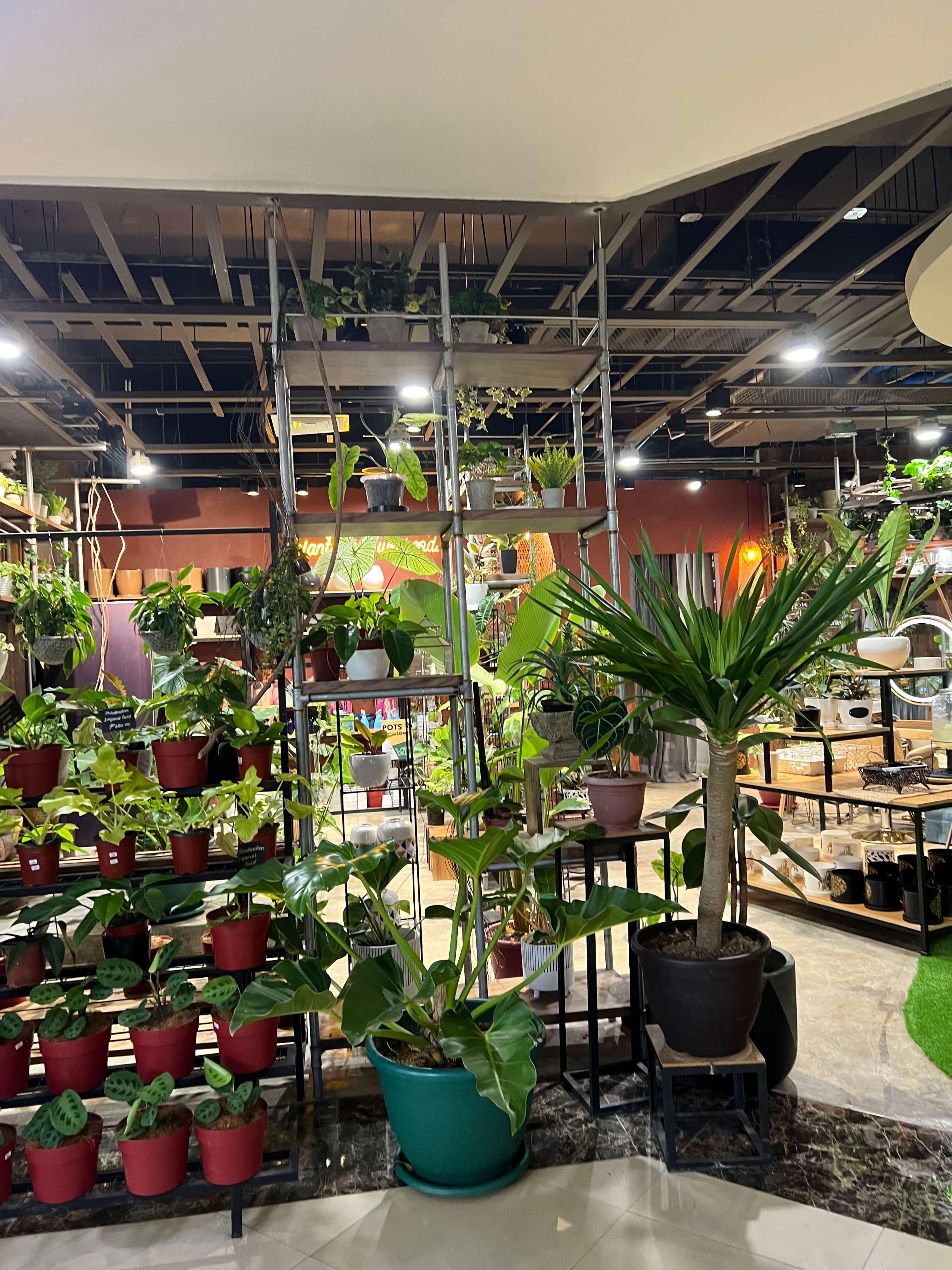 Botanica Salon — photo 8