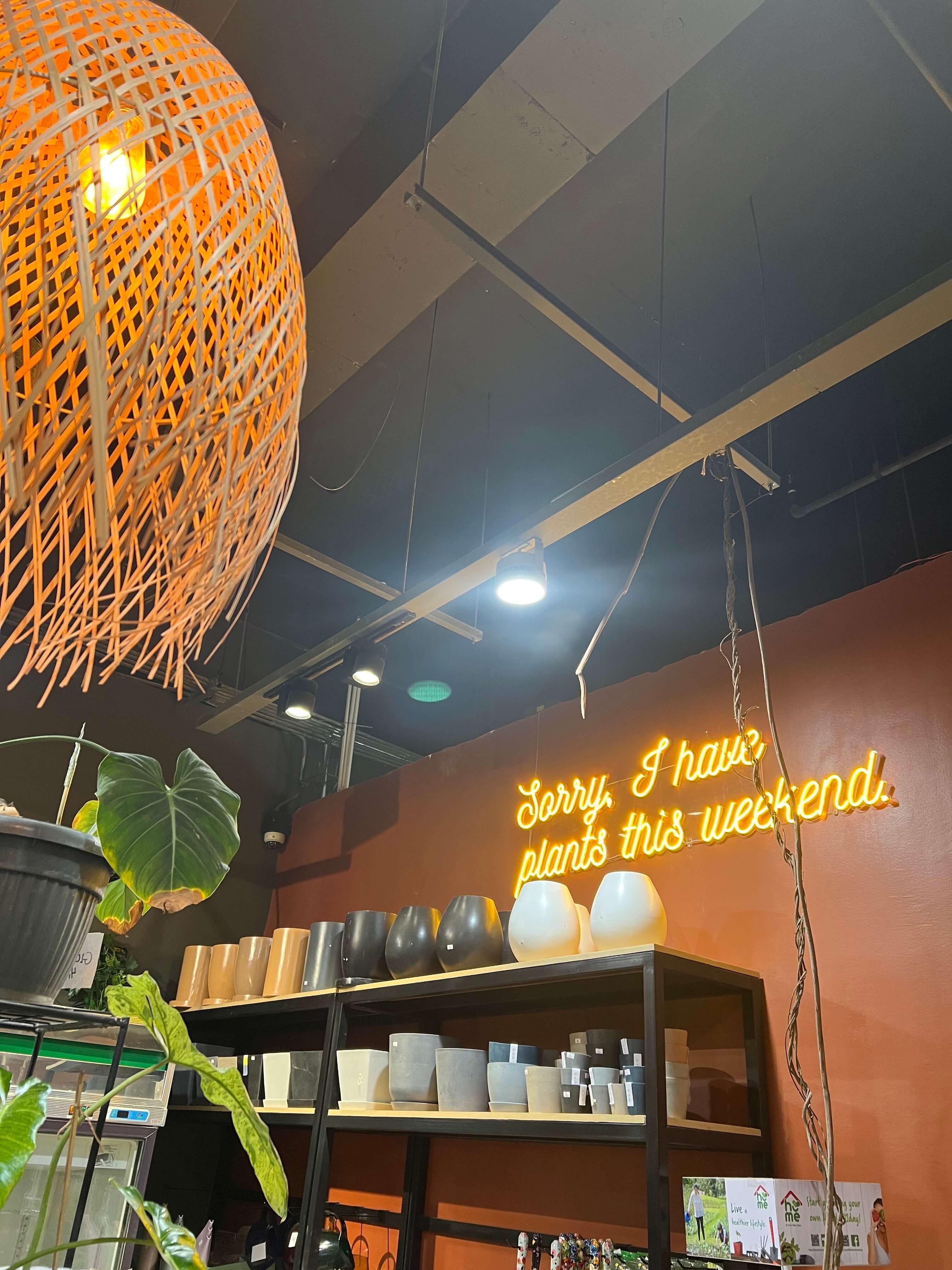 Botanica Salon — photo 9