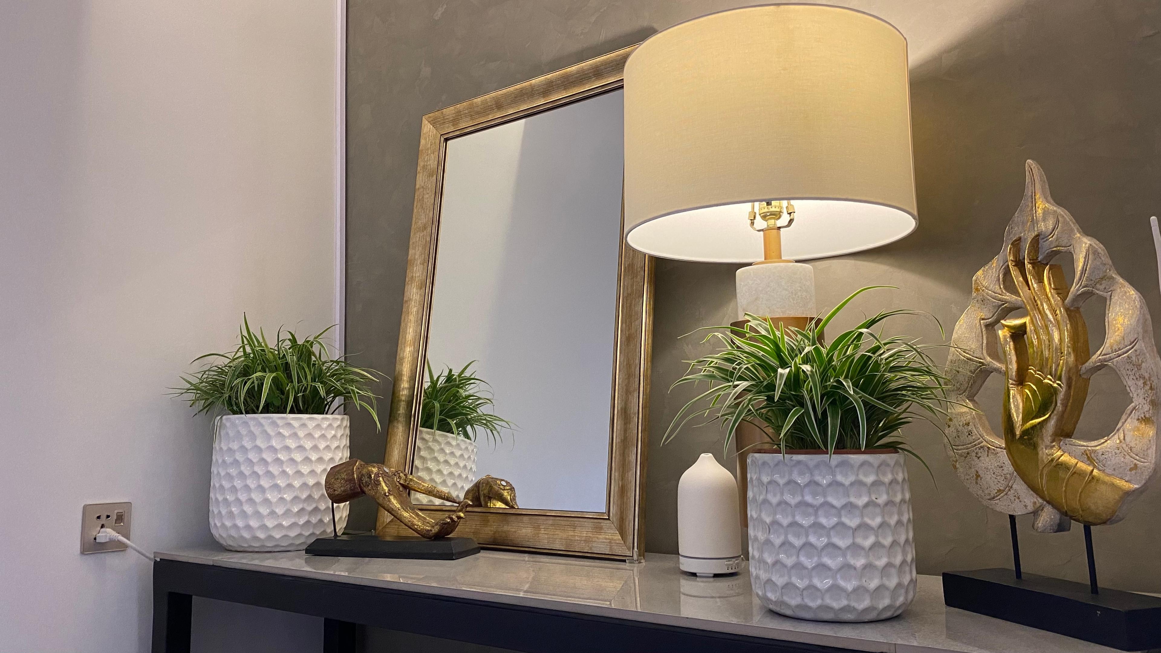 Illumina Dermatology — photo 9