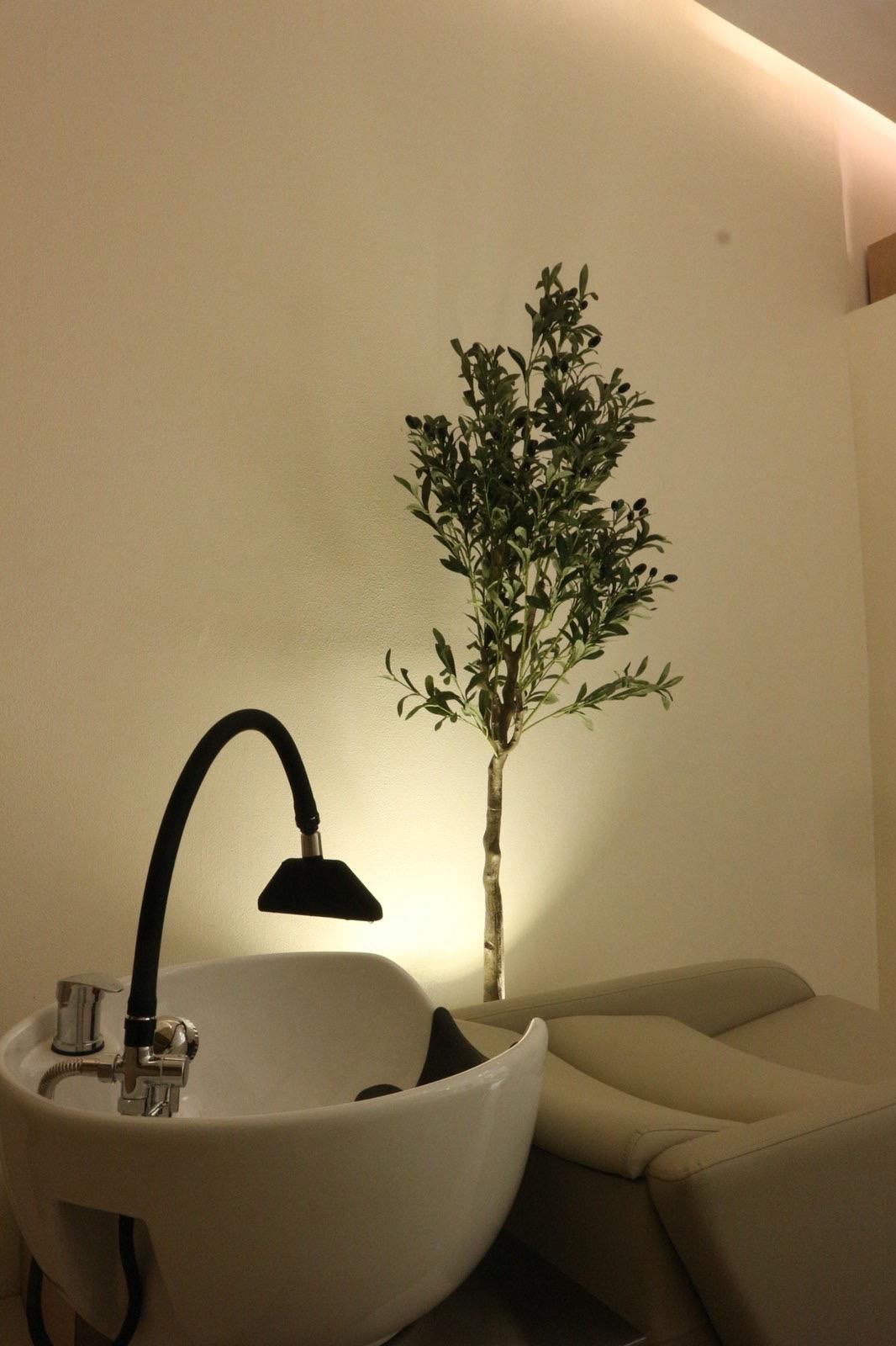 Salon photo 2