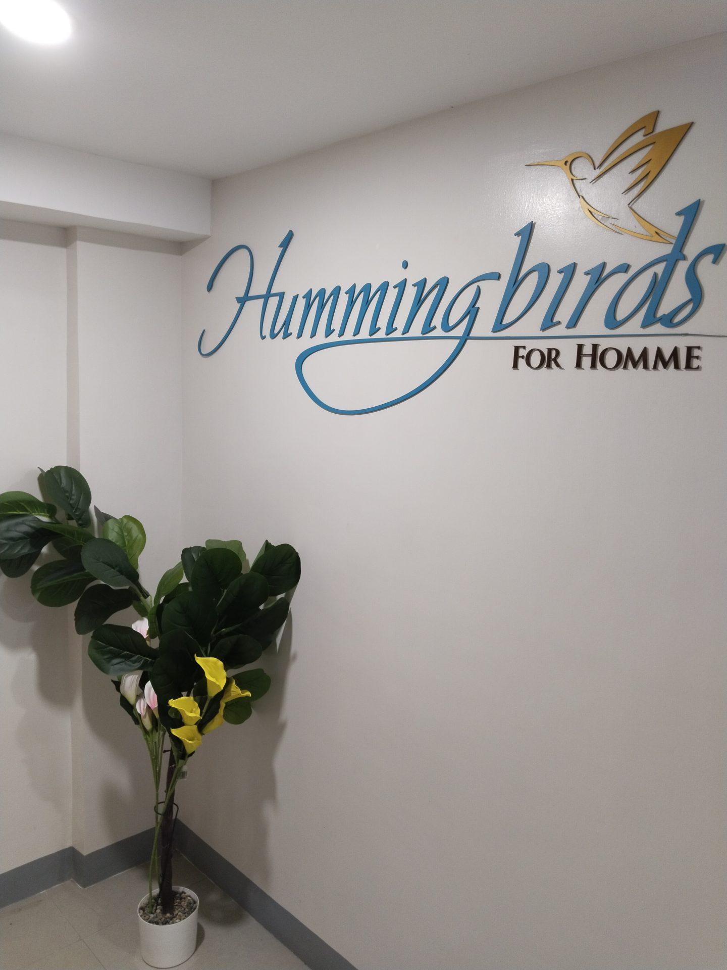 Hummingbirds for Homme photo 1
