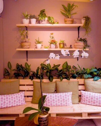 Salon photo 3