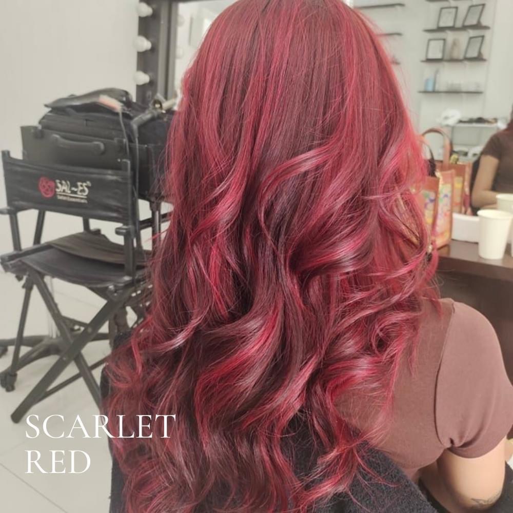 Salon photo 1
