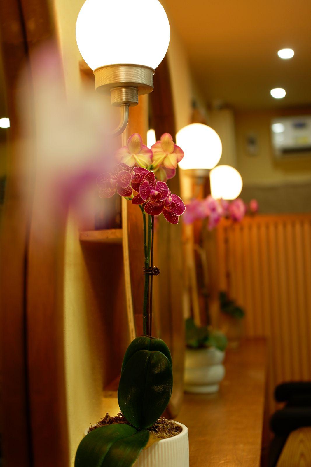 Ulo Salon photo 4